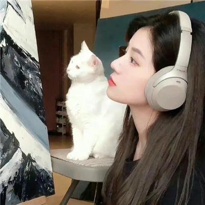 主播谜情