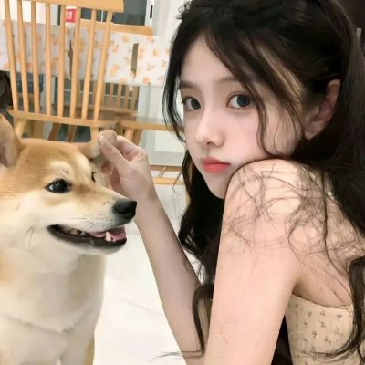 无声的证言第二十八季